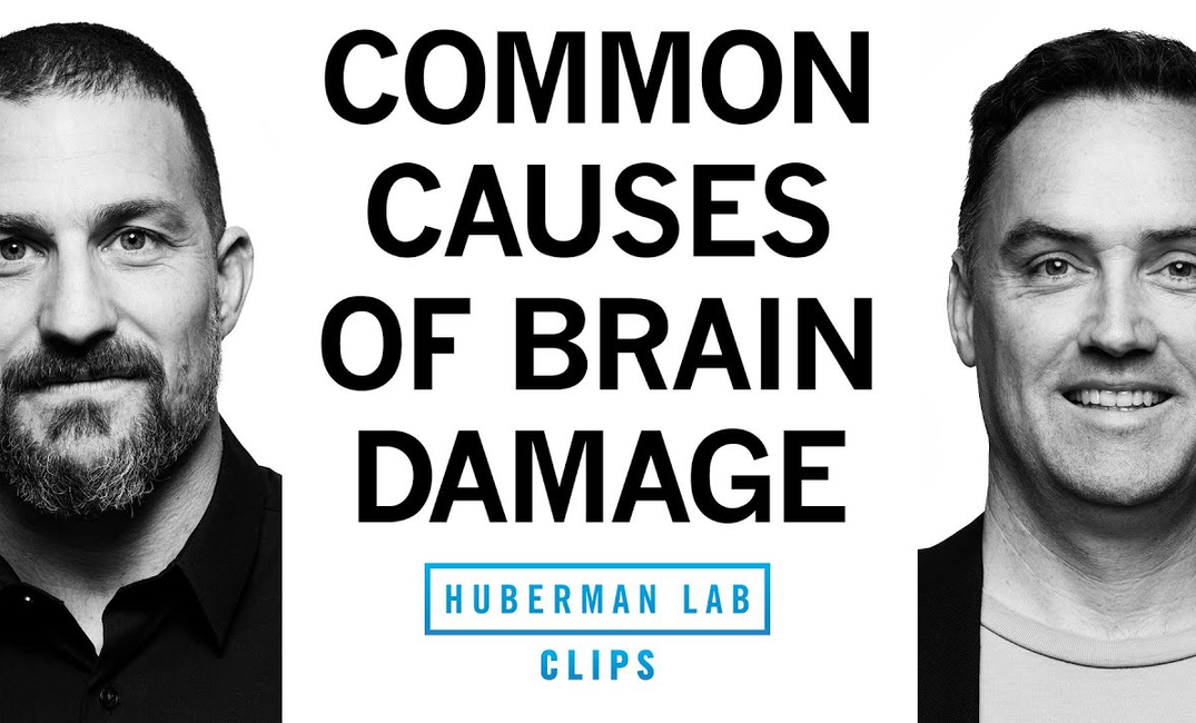 ENSPIRING.ai: Alcohol & Other Common Causes of Brain Damage - Dr. Matt MacDougall & Dr. Andrew Huberman