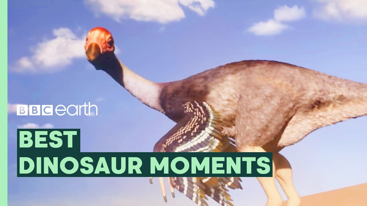 ENSPIRING.ai: Dinosaurs - Just Big Chickens? - Best of Dinosaurs - BBC Earth