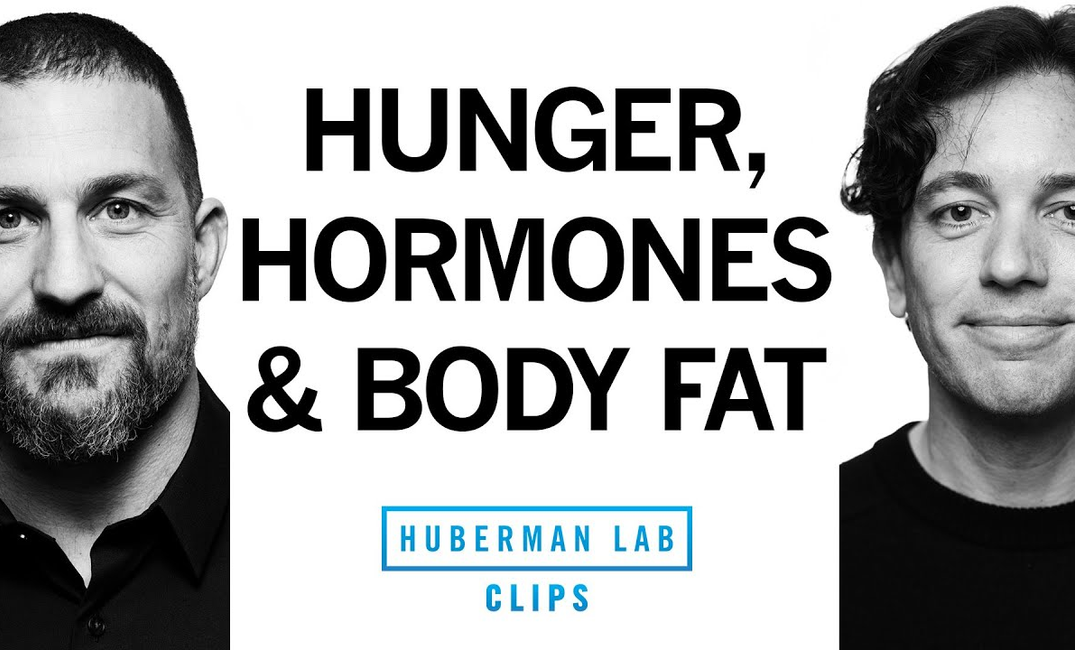 ENSPIRING.ai: This Hormone Drives Hunger & Body Fat - Dr. Zachary Knight & Dr. Andrew Huberman