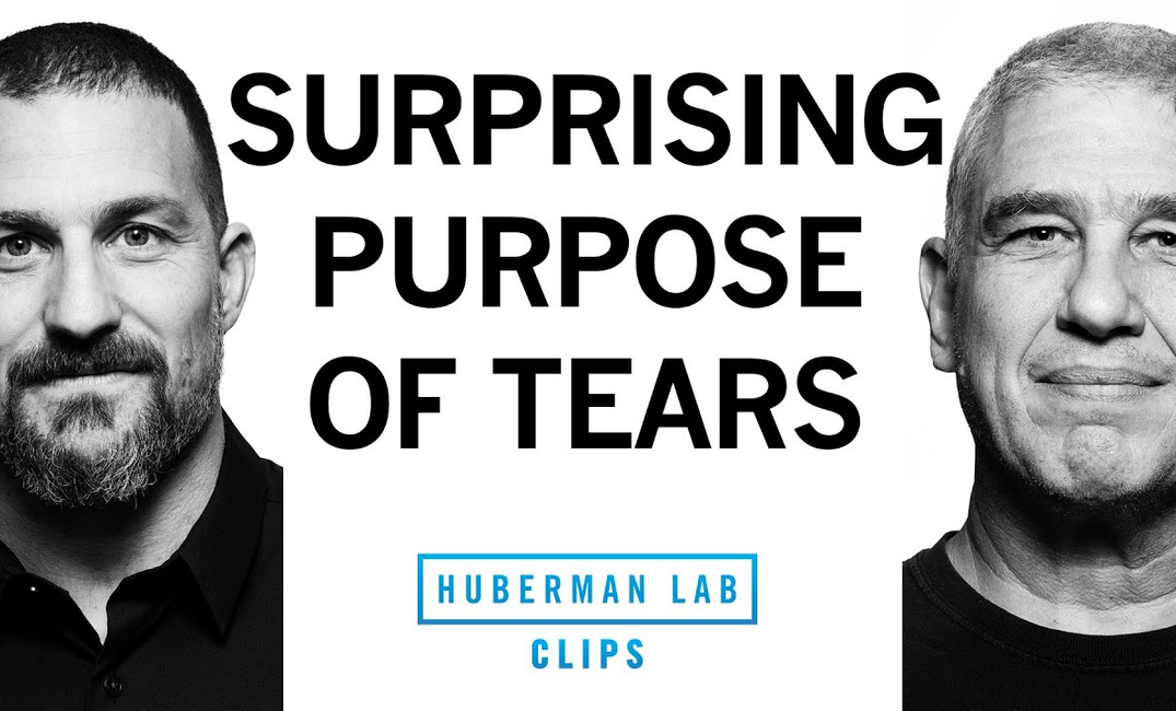 ENSPIRING.ai: Why We Cry & the Evolutionary Purpose of Tears - Dr. Noam Sobel & Dr. Andrew Huberman