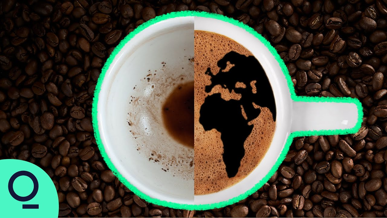 ENSPIRING.ai: Inside the Global Fight to Save Coffee