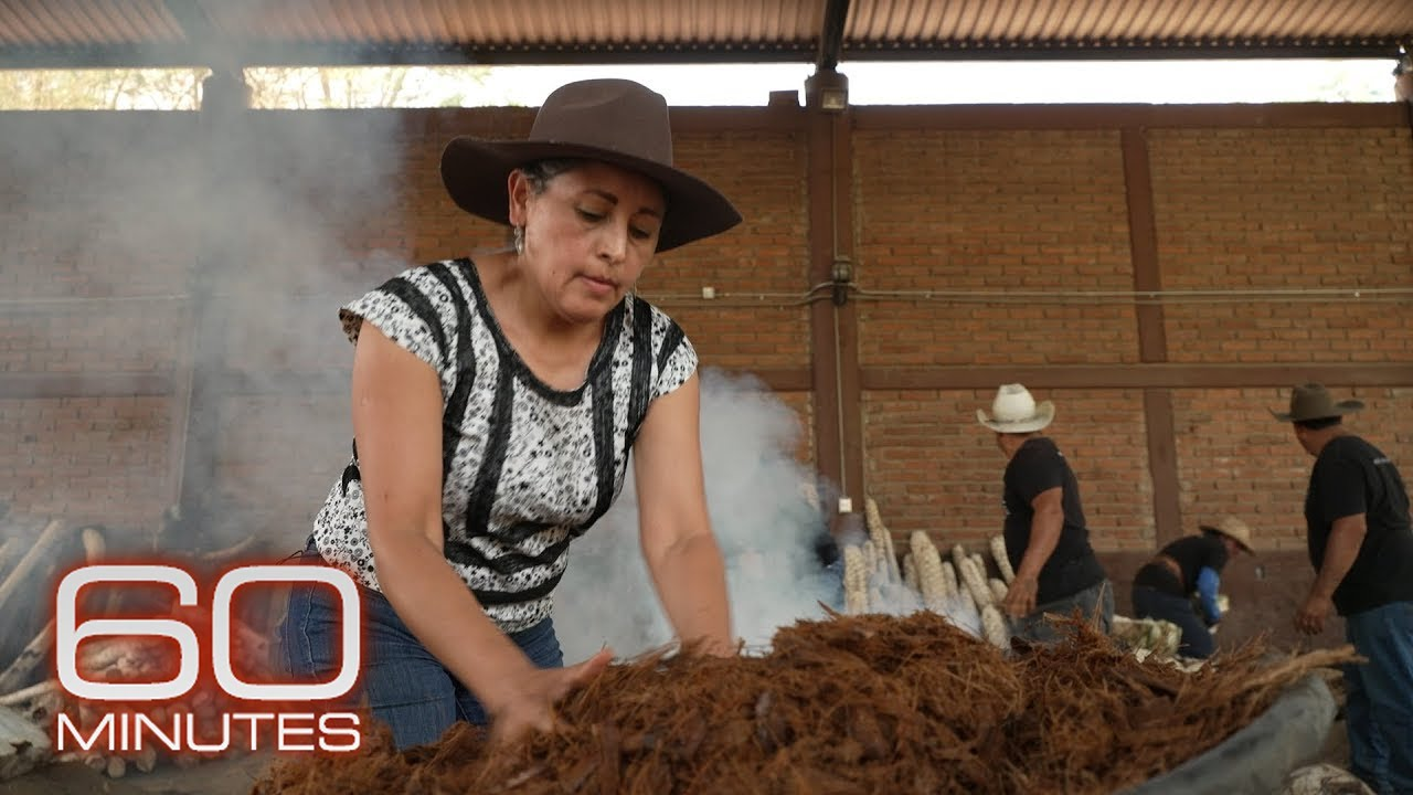 ENSPIRING.ai: Mezcal producers preserve traditional methods as demand for liquor grows | 60 Minutes