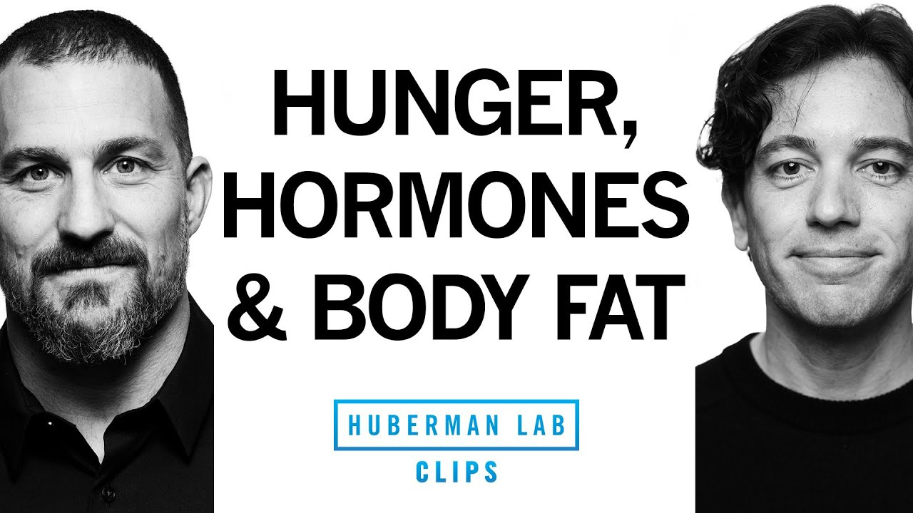 ENSPIRING.ai: This Hormone Drives Hunger & Body Fat - Dr. Zachary Knight & Dr. Andrew Huberman