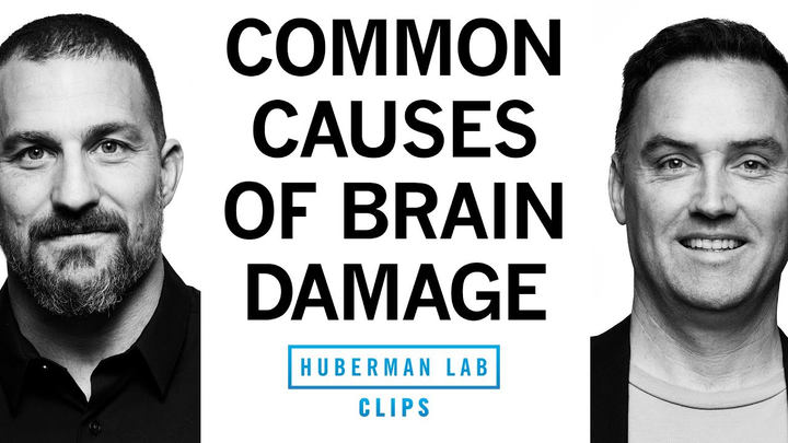 ENSPIRING.ai: Alcohol & Other Common Causes of Brain Damage - Dr. Matt MacDougall & Dr. Andrew Huberman