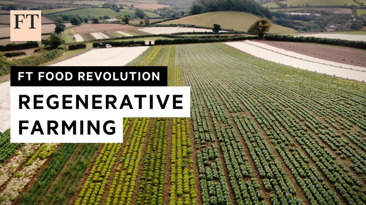 ENSPIRING.ai: Riverford - UK business needs long-term policies and stability - FT Food Revolution