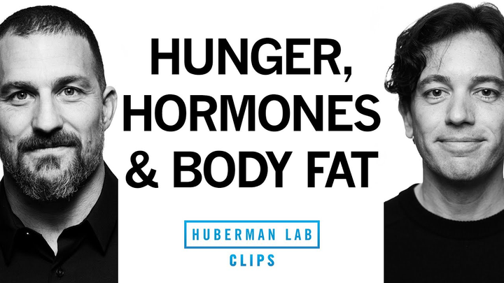 ENSPIRING.ai: This Hormone Drives Hunger & Body Fat - Dr. Zachary Knight & Dr. Andrew Huberman