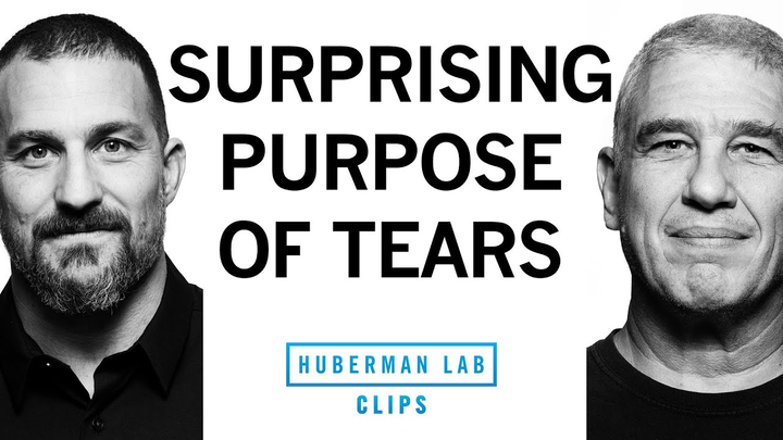 ENSPIRING.ai: Why We Cry & the Evolutionary Purpose of Tears - Dr. Noam Sobel & Dr. Andrew Huberman